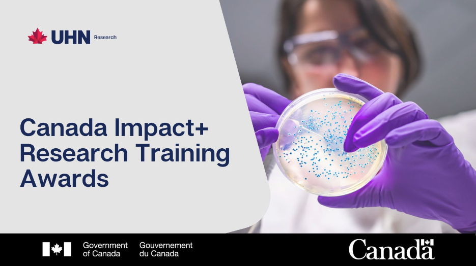 Graphic promoting the Canada Impact+ Research Training Awards, featuring a researcher holding a petri dish in a laboratory, alongside UHN Research and the Government of Canada branding.